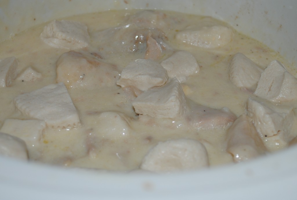 LEFTOVER CHICKEN GRAVY TURNED INTO CHICKEN N’ DUMPLIN’S